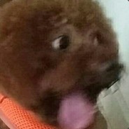 死一次打一次豆豆