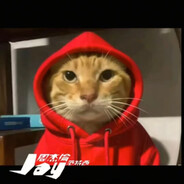 你不值得我哈气