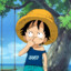 ! luffy