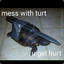 dont mess with turt