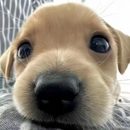 我曾心比天高志无穷