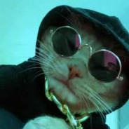 Pashaa100 avatar