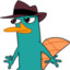 Perry the platypus