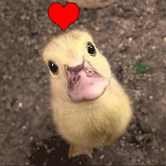 Araag - steam id 76561197960375634