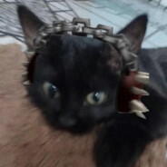 仙仙不住在隔壁xx