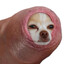 pric0t