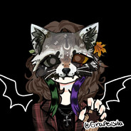 The Raccoon
