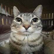 런각잡는중 [KR] (rungak)