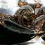 George the lobster