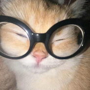 唐僧洗头用飘柔