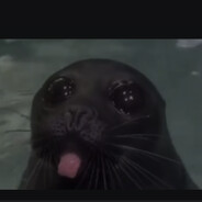 Seal