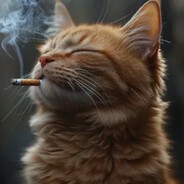 Ch1p$ - steam id 76561199078939482