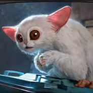 The Meep