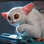 The Meep