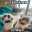 Матвей Сабля
