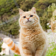 练习魔法的小男孩