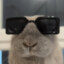 modzi_1