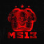 MS - 13