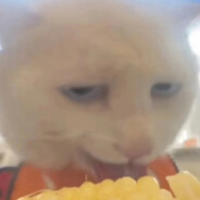 落ち着いて下さい