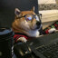 Gaming_Dog