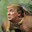 Trump Turtle