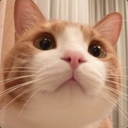 《 斯 文 上 单 》