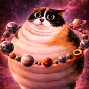 котность жирност