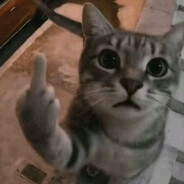 linleyy