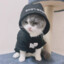 TheCatsider