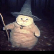 心冷脖子冰但是龟烫