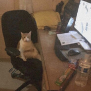 delo - steam id 76561198321067101