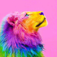 𝓡𝓸𝓫𝓫𝔂𝓢𝓱𝓮𝓷