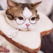 我是瓦罗兰特高手