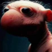 soarzy Steam avatar