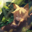 Dravion