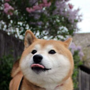 Rubzip