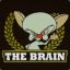 The Brain