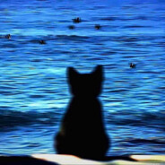 缘分落地生根是我们