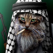 Усама-Мяу-Ладен