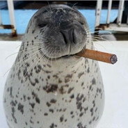 cool ass seal