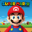 MR. Super Mario
