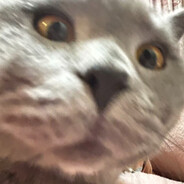 秀秀饿了怎么办