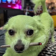 KingChico