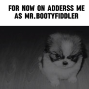 Mr.BootyFiddler