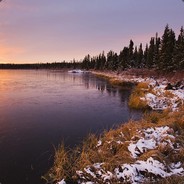 最帅的哥杀了林狗