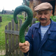 soska_kokoska