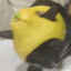 冰冰又瓜瓜