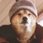 富士也留不住欲落櫻花