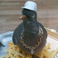 pigeon gang SKINS