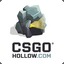 CSGOHollow.com Pollak